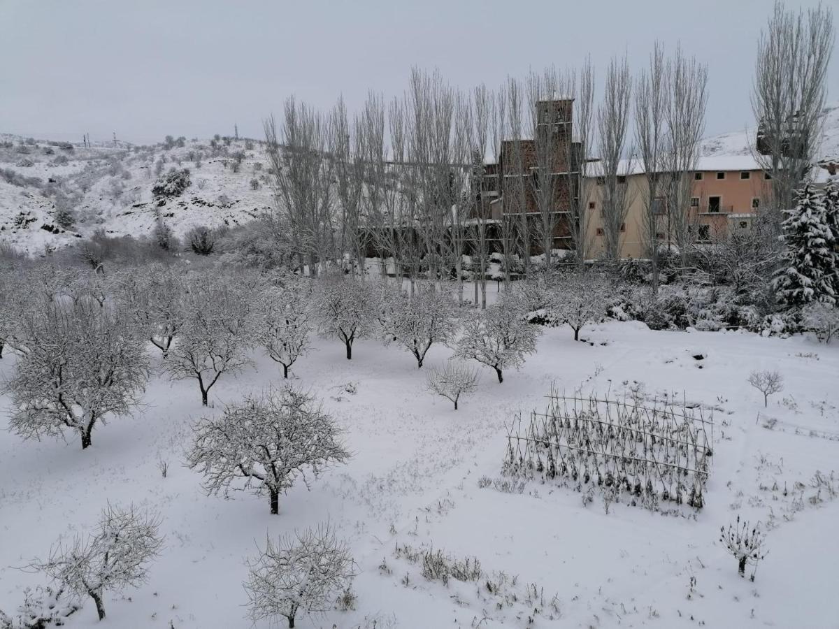 Apartamentos Rurales Camino Del Cid Castejón de las Armas Exterior photo