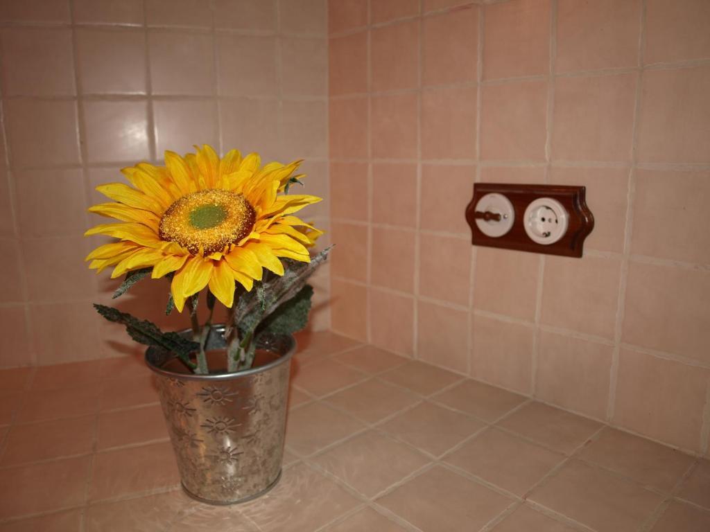 Apartamentos Rurales Camino Del Cid Castejón de las Armas Room photo